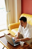 Man sitting in living room, using laptop - Asia Images Group