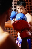 Two men boxing - Asia Images Group