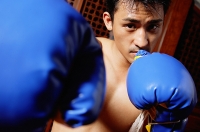 Male boxer in boxing pose - Asia Images Group