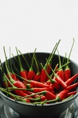 Still life of chilies in bowl - Asia Images Group
