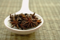 Star Anise in spoon, still life - Asia Images Group