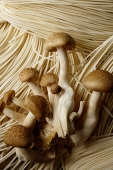 Chinese noodles and mushrooms, close up - Asia Images Group