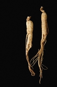 Ginseng, still life - Asia Images Group