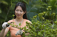 Woman pruning plants - Asia Images Group