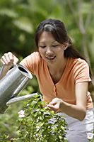 Woman watering plants with watering can - Asia Images Group