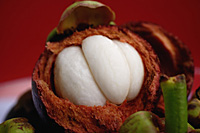 Mangosteen - Asia Images Group