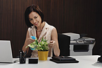 A woman tends to a pot plant on her desk - Asia Images Group