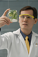 Scientist examining jar with plant samples - Asia Images Group