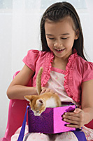 Young girl with kitten on her lap - Asia Images Group