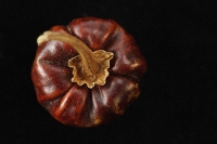 Dried chilli pepper - Asia Images Group