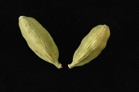 Close up of green cardamom seeds - Asia Images Group