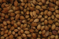 Lot of cumin seeds - Asia Images Group