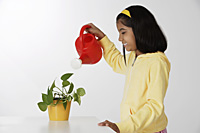 Girl watering plant - Asia Images Group