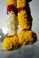 Hanging flower garlands against cloudy sky. - Asia Images Group