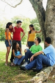 Young men and women, sitting and standing in park, talking - Asia Images Group