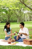 Couple in park, having a picnic, man pouring wine for woman - Asia Images Group