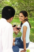 Couple having a picnic, toasting with wine glasses - Asia Images Group