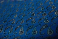 Paisley print fabric - Asia Images Group