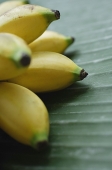 Close-up of bananas - Asia Images Group
