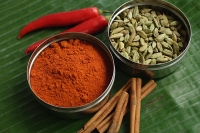 Still life of masala powder, seeds, cinnamon sticks and red chillies - Asia Images Group