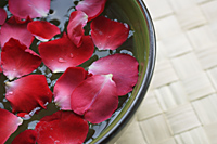Red petals floating in bowl - Nugene Chiang