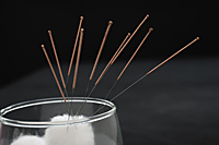 acupuncture needles in cotton - Ellery Chua