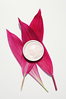 Natural yogurt facial on red tropical leaves - Alex Mares-Manton