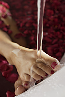 feet of woman in bathtub with petals - Alex Mares-Manton