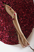 legs of woman in bathtub with petals - Alex Mares-Manton