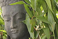 Face of stone Buddha - Ellery Chua