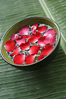 Red petals floating in green bowl - Nugene Chiang