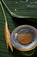 Papaya used for natural spa skin treatment - Nugene Chiang