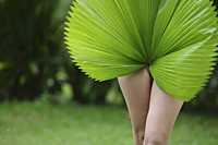legs of naked woman behind big tropical leaf - Alex Mares-Manton