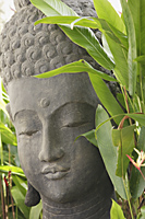 Face of stone Buddha - Ellery Chua