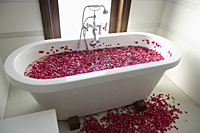 bath tub with floating petals - Alex Mares-Manton