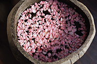 Pink petals floating in stone bowl - Alex Mares-Manton