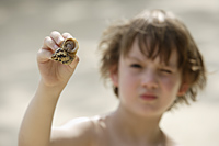 Boy holding up hermit crab - Alex Mares-Manton