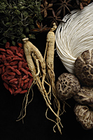 Mushrooms, noodles, ginger root, dried fruits and herbs used for Chinese medicine - Ellery Chua