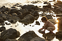 Young boy playing in tide pools - Alex Mares-Manton
