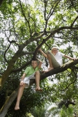 young boys sitting in tree - Alex Mares-Manton