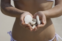 torso of woman in white bikini holding shells - Nugene Chiang