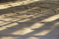 labyrinth made of sand - Nugene Chiang