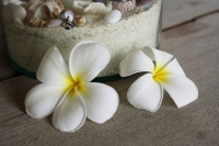 frangipani flowers next to vase of sand and shells - Nugene Chiang