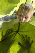young boy standing behind leaf - Alex Mares-Manton
