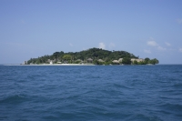 tropical island - Nugene Chiang