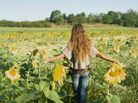 Young woman walking amid sunflowers - Alex Hajdu