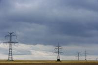 Field of power lines - Alex Mares-Manton