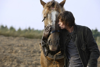 man kissing horse in field - Alex Mares-Manton