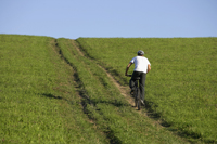 Young man riding bicycle up meadow path - Alex Mares-Manton