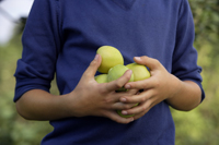 boy with hand full of apples - Alex Mares-Manton